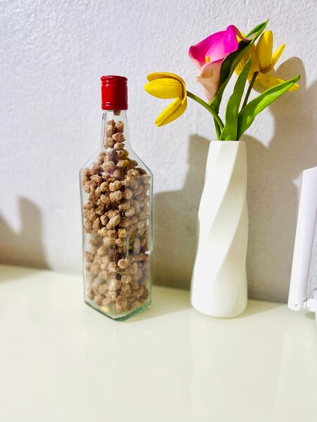 Bouteille Déco Remplie de Noix