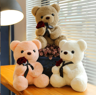 Ours en peluche