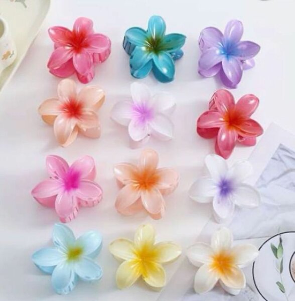 Pince à cheveux Fleur Colorés