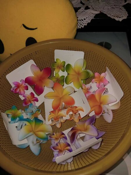 Barrettes fleurs colorées