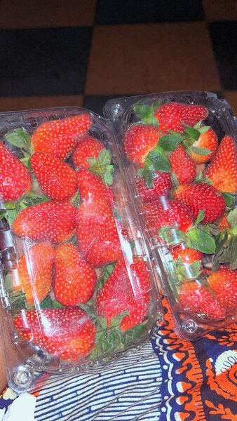 Fraise bien fraîche