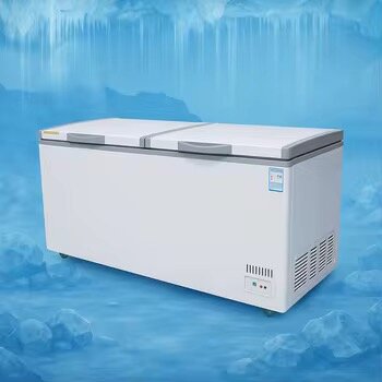 Congélateur Coffre Commercial