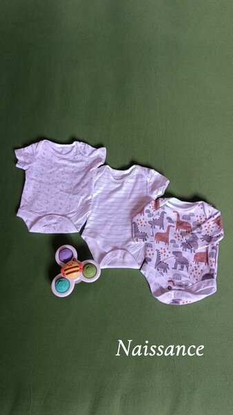 Lot de 3 Body Bébés