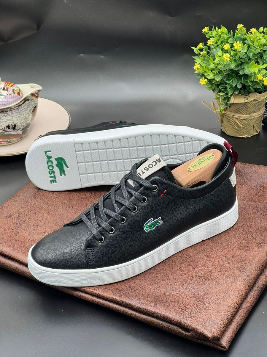 LACOSTE CLASSIC WEAR