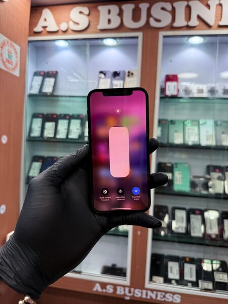 iPhone 12 Simple