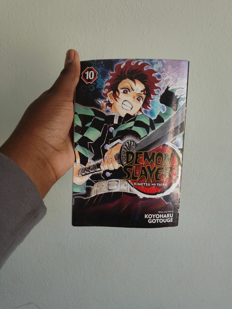 Demon slayer volume 10