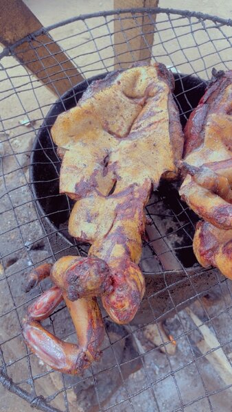 Queue de bœuf local