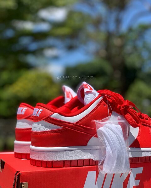 Nike Sb Dunks Low University Red