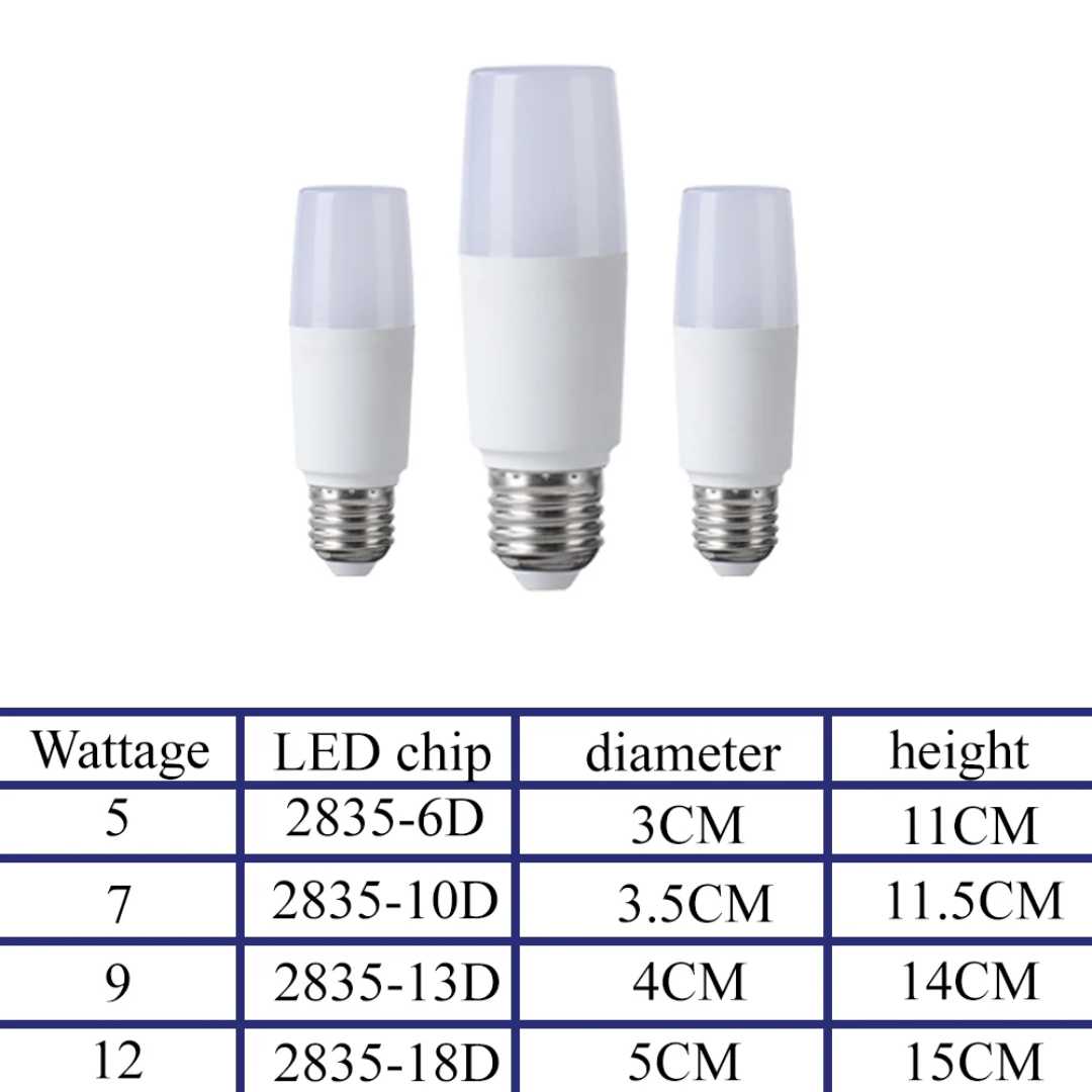 Ampoules LED Économie d'Énergie