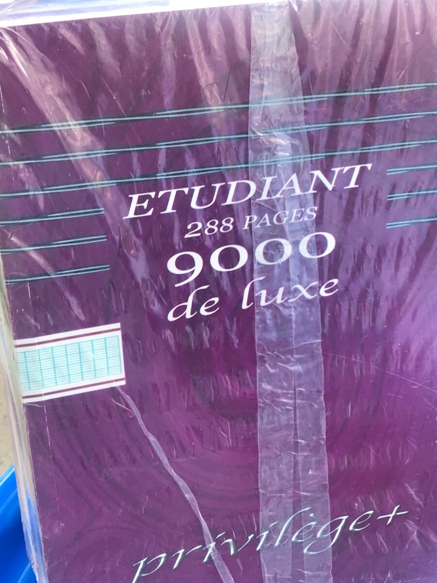 Cahier 288 p grand carreaux X5