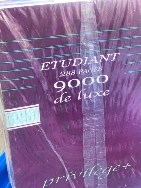 Cahier 288 p grand carreaux X5