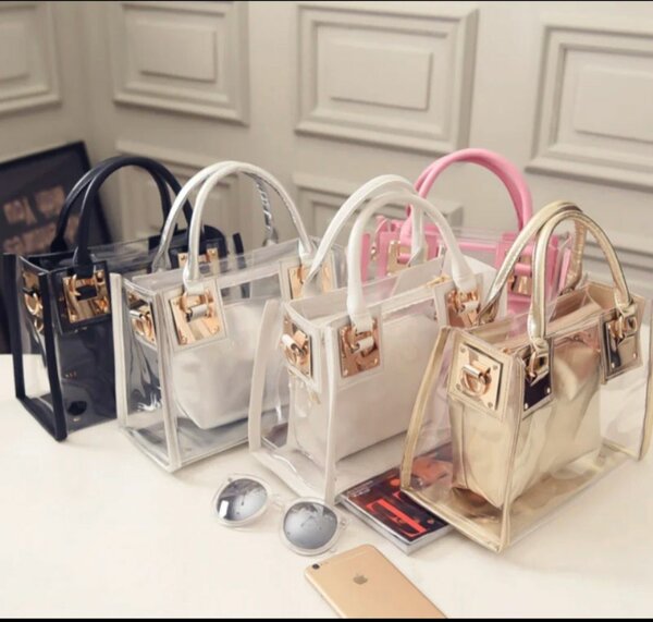 Sac Transparent Mode Chic