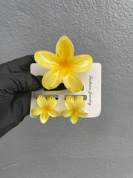 Pinces à cheveux fleurs colorées