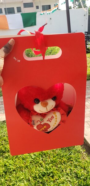 Ourson en peluche I Love You