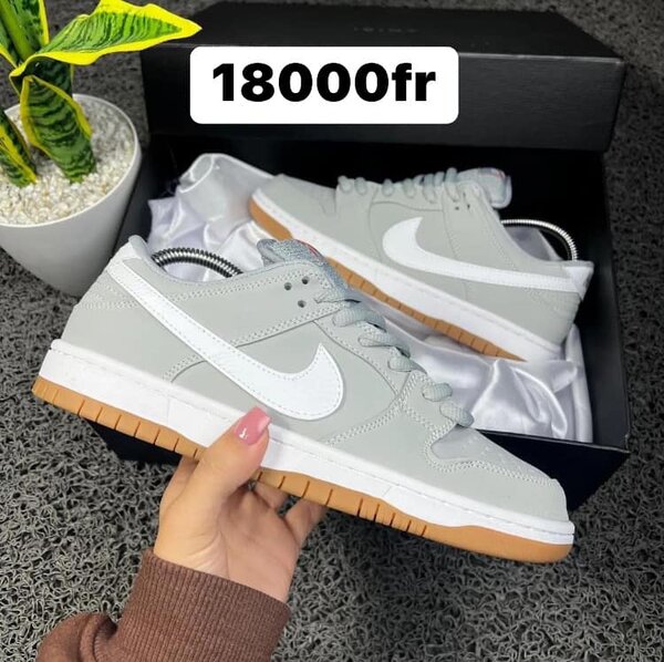 Chassure Nike SB gris
