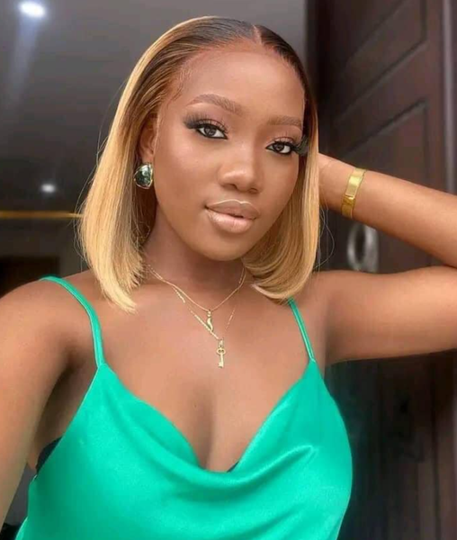 Vietnam double drawn bone straight ombre brown with blonde color wig 