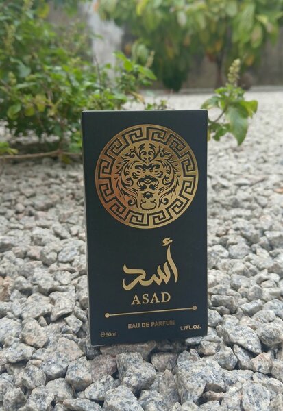 Asad Eau de Parfum 50ml