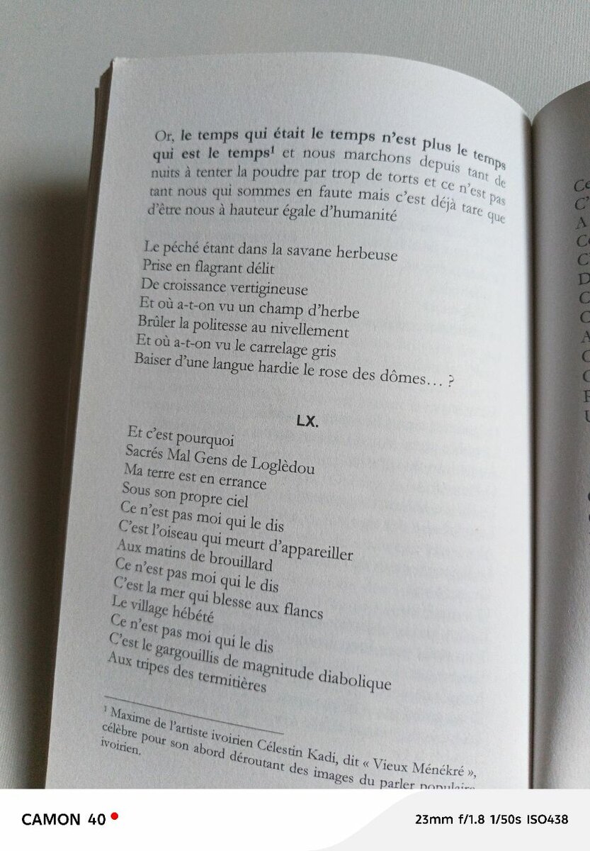 Livre Aux Chemins de Babo Naki