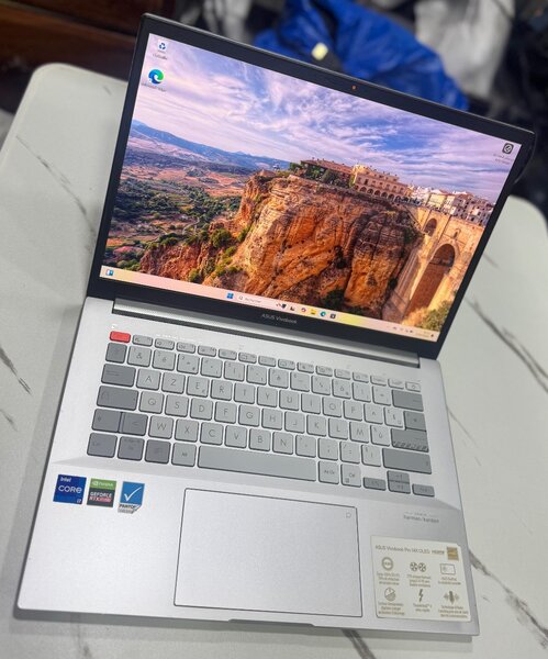 ASUS VivoBook Puissant Gris