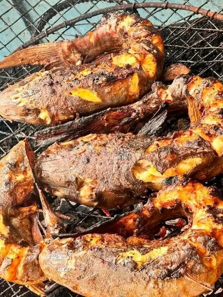 Poisson Grillé Délicieux