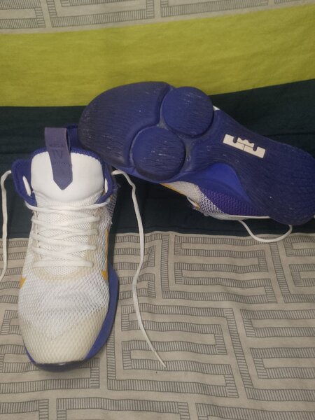 LeBron witness IV