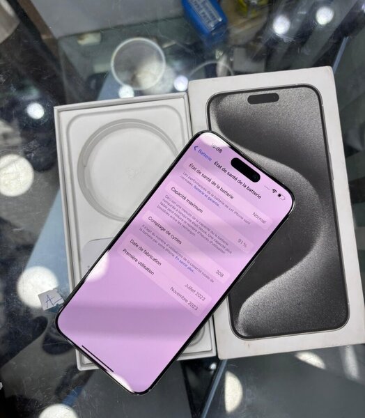 iPhone 13 Pro Max 256 Go