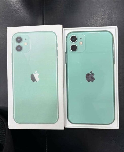 iPhone 11 Vert Débloqué