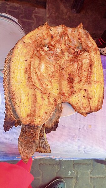 Chocoal grilled fish,