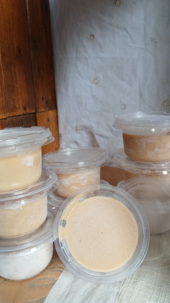 Bao'crémeux by Allannah