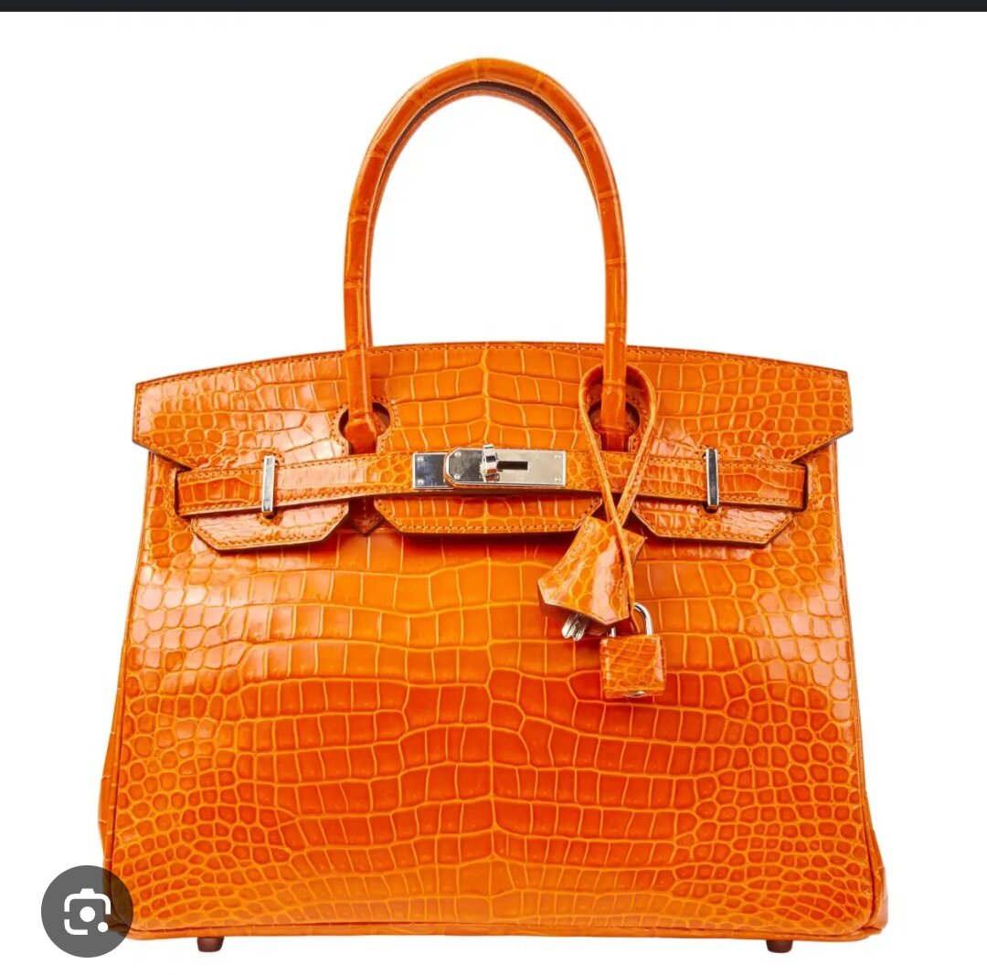 Sac à main cuir croco luxueux
