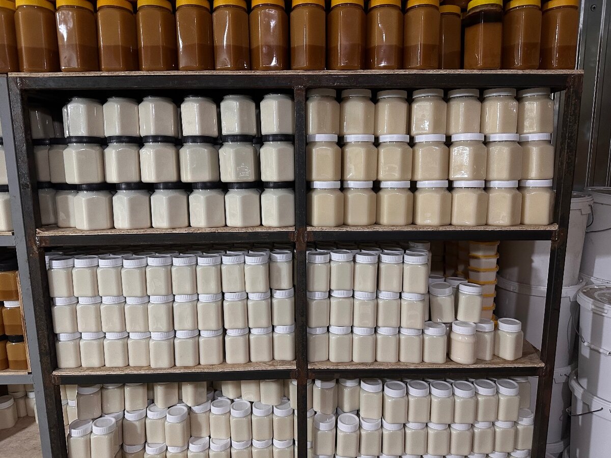 Эспарцет белый крем мёд