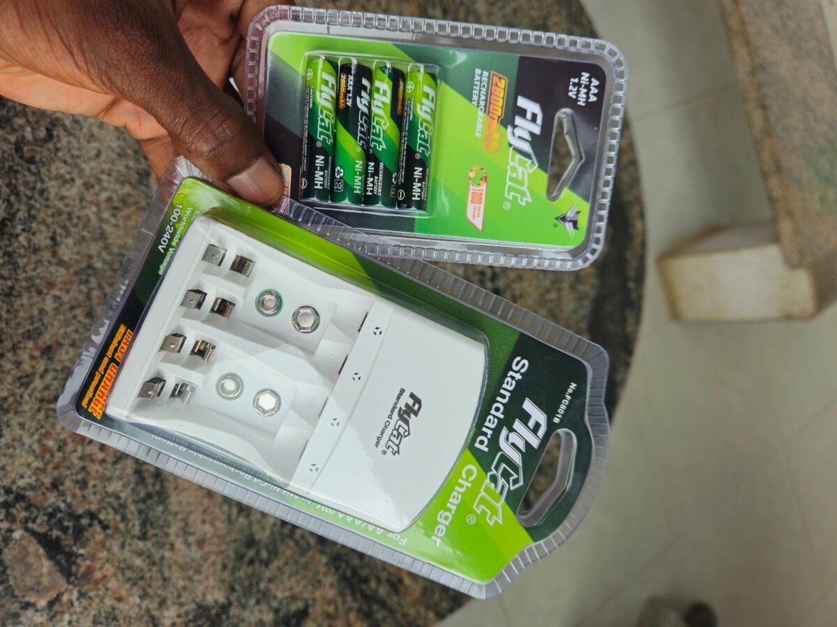 Chargeur et Piles Rechargeables