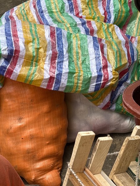 Sacs de rangement résistants