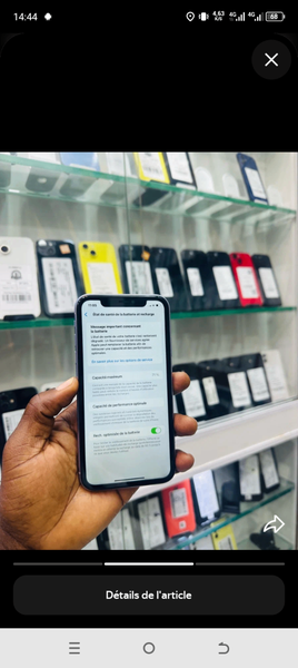 iPhone 256 Go Gris Pro Max