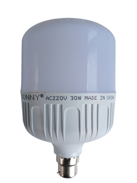 Ampoule LED 30W Sunny