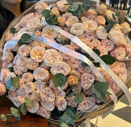 крупноголовые бутоны пионовидных спрей