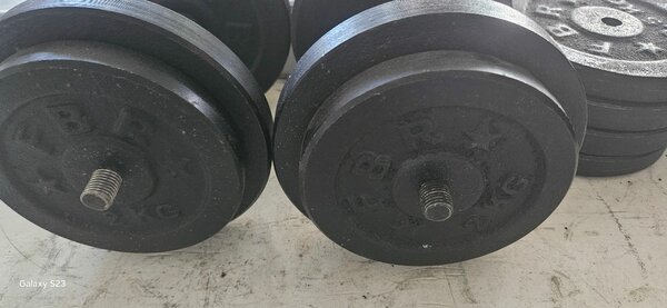 30kg dumble Both