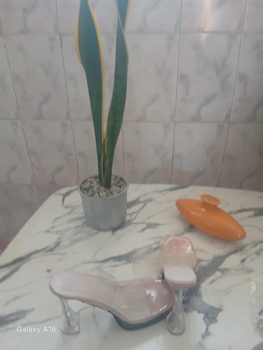 Sandales à talons élégantes