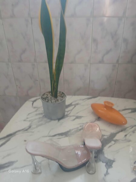 Sandales à talons élégantes