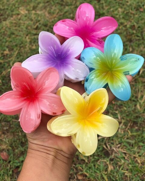 Pinces à fleurs colorées