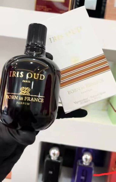 Parfum IRIS OUD