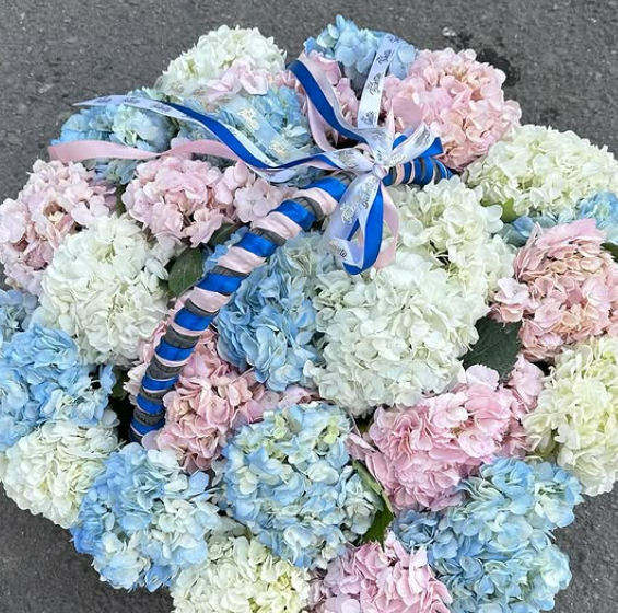  Королевские Гортензии 🤩