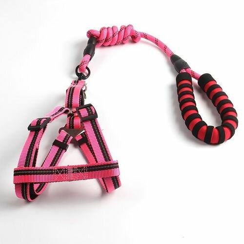Laisse Chien De Traction rose