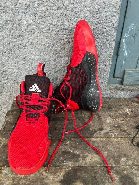 Adidas Pro Bounce 2018