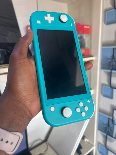 Nintendo switch Light