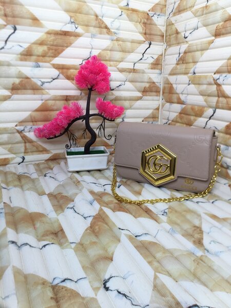 Ladies Elegant Handbag