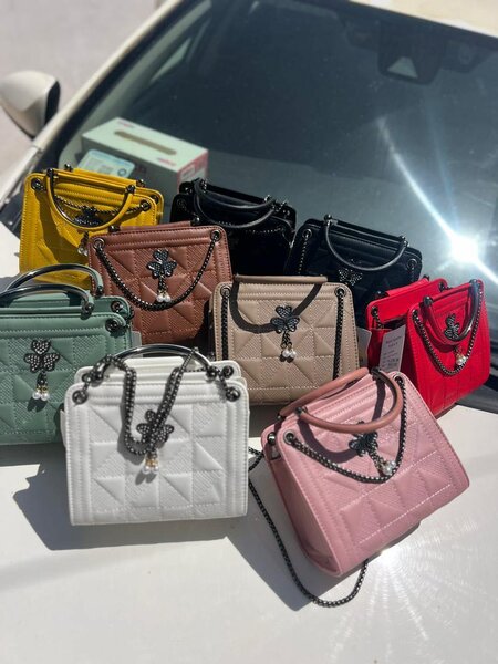 Bag with hand and long strap