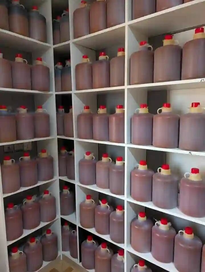 Palm Oil(Original Zomi)