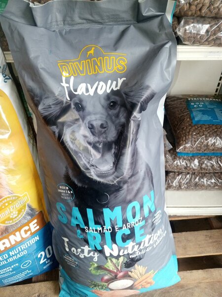 Nourriture pour chiens au saumon
