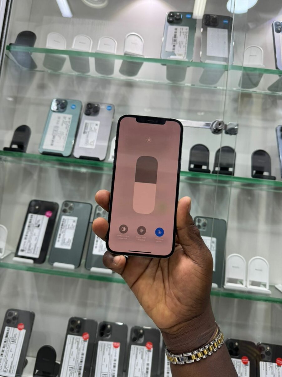 iPhone 12 Pro Max Bleu